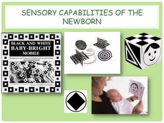 SENSORY CAPABILITIES OF THE 
NEWBORN 
 