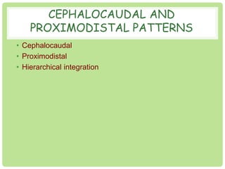 CEPHALOCAUDAL AND 
PROXIMODISTAL PATTERNS 
• Cephalocaudal 
• Proximodistal 
• Hierarchical integration 
 