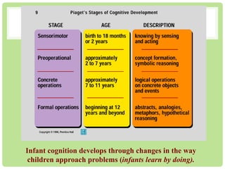 Infant cognition develops through changes in the way 
children approach problems (infants learn by doing). 
 