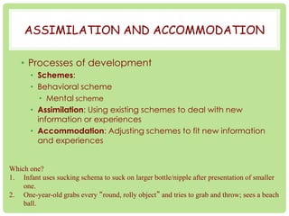 ASSIMILATION AND ACCOMMODATION 
• Processes of development 
• Schemes: 
• Behavioral scheme 
• Mental scheme 
• Assimilation: Using existing schemes to deal with new 
information or experiences 
• Accommodation: Adjusting schemes to fit new information 
and experiences 
Which one? 
1. Infant uses sucking schema to suck on larger bottle/nipple after presentation of smaller 
one. 
2. One-year-old grabs every “round, rolly object” and tries to grab and throw; sees a beach 
ball. 
 