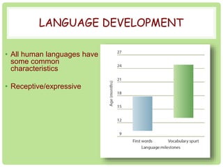 LANGUAGE DEVELOPMENT 
• All human languages have 
some common 
characteristics 
• Receptive/expressive 
You talkin’ to me?! 
 