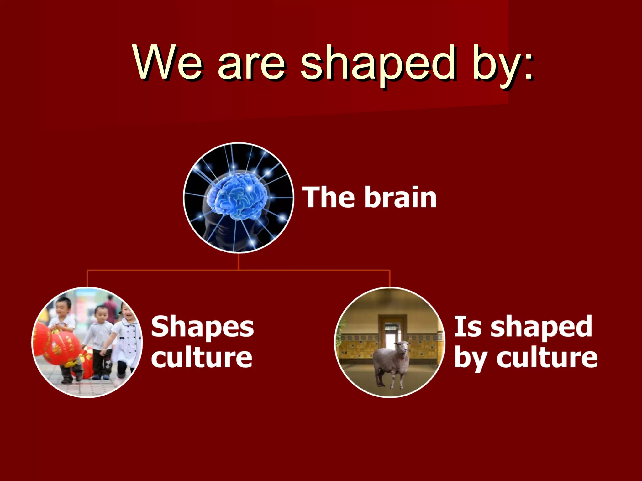 We are shaped by:

 