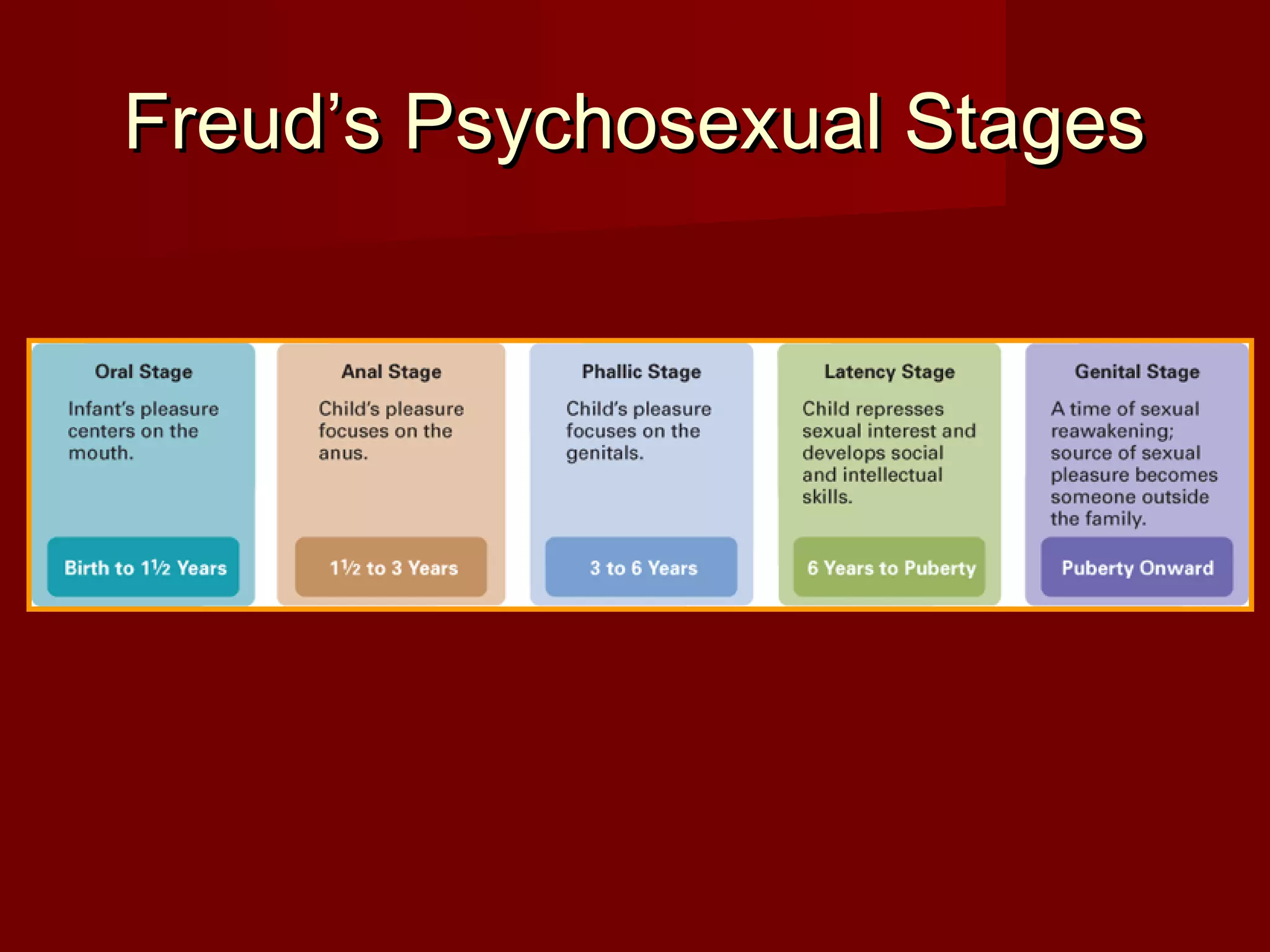 Freud’s Psychosexual Stages

 