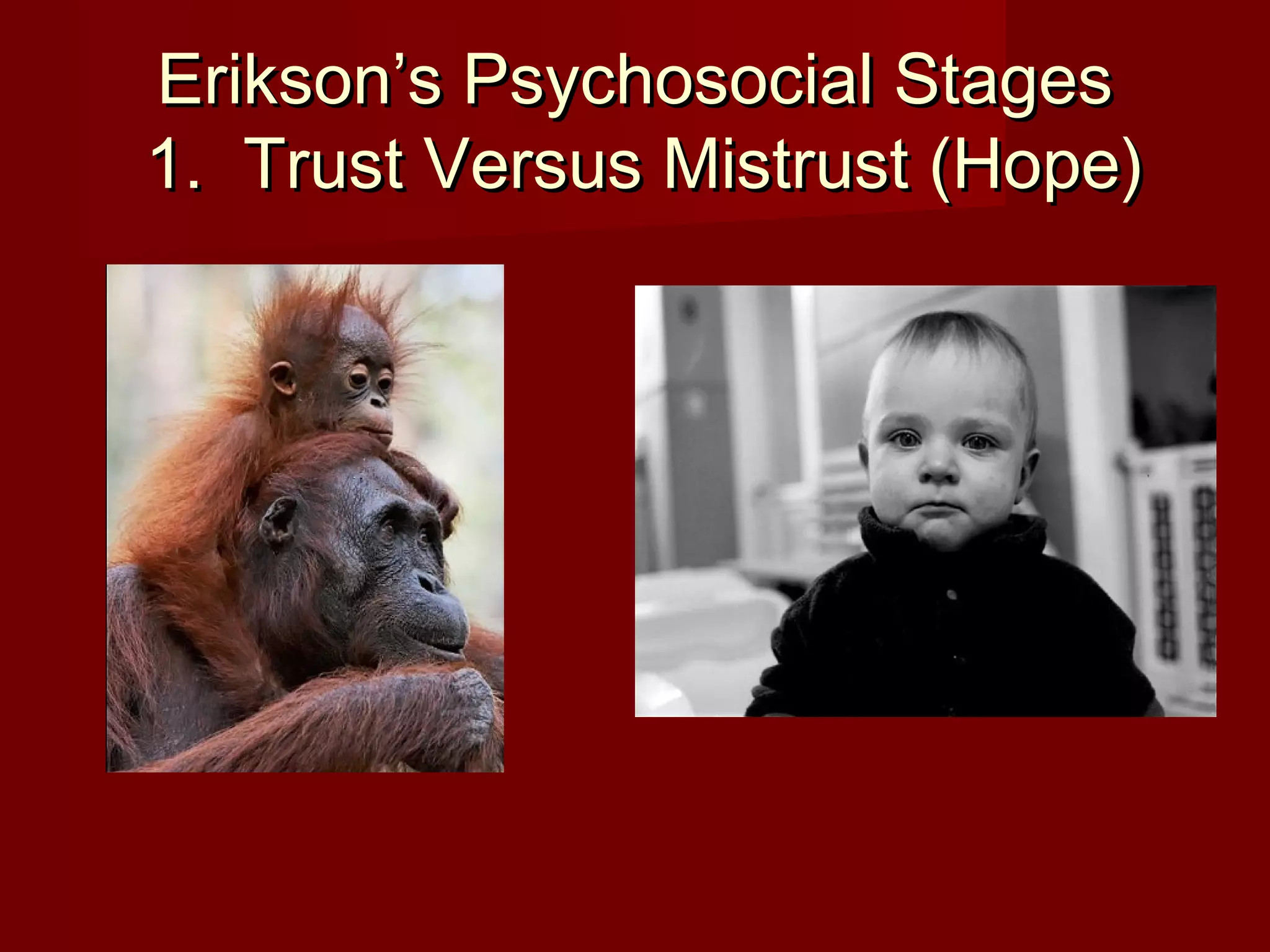 Erikson’s Psychosocial Stages
1. Trust Versus Mistrust (Hope)

 