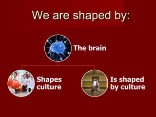 We are shaped by:

 