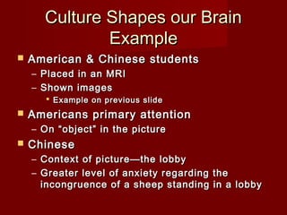Culture Shapes our Brain
Example


American & Chinese students
– Placed in an MRI
– Shown images
 Example on previous slide



Americans primary attention
– On “object” in the picture



Chinese
– Context of picture—the lobby
– Greater level of anxiety regarding the
incongruence of a sheep standing in a lobby

 