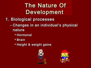 The Nature Of
Development
1. Biological processes
– Changes in an individual’s physical
nature
 Hormonal
 Brain
 Height & weight gains

 