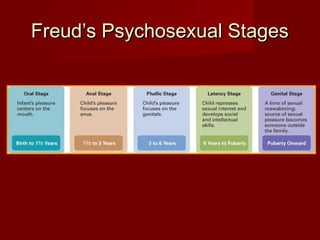Freud’s Psychosexual Stages

 