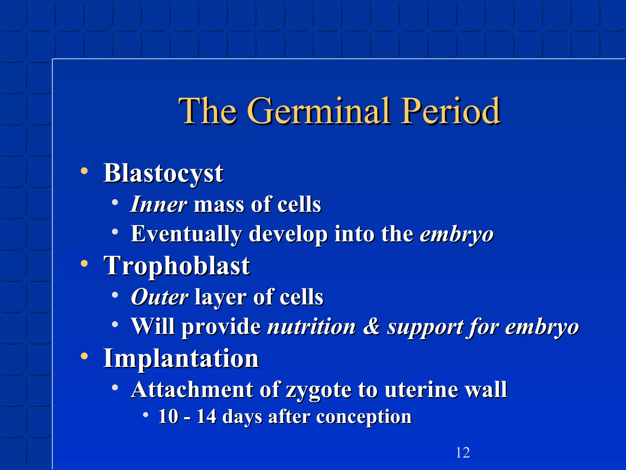 The Germinal Period
• Blastocyst

• Inner mass of cells
• Eventually develop into the embryo

• Trophoblast

• Outer layer of cells
• Will provide nutrition & support for embryo

• Implantation

• Attachment of zygote to uterine wall
• 10 - 14 days after conception

12

 