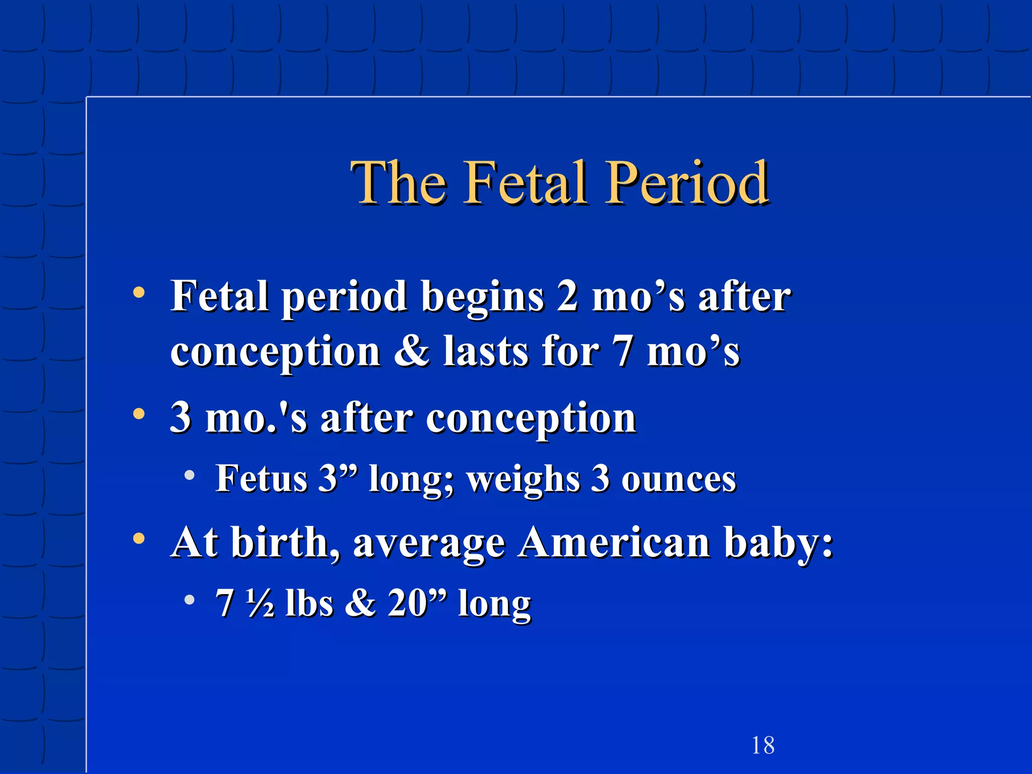 The Fetal Period
• Fetal period begins 2 mo’s after
conception & lasts for 7 mo’s
• 3 mo.'s after conception
• Fetus 3” long; weighs 3 ounces

• At birth, average American baby:
• 7 ½ lbs & 20” long

18

 