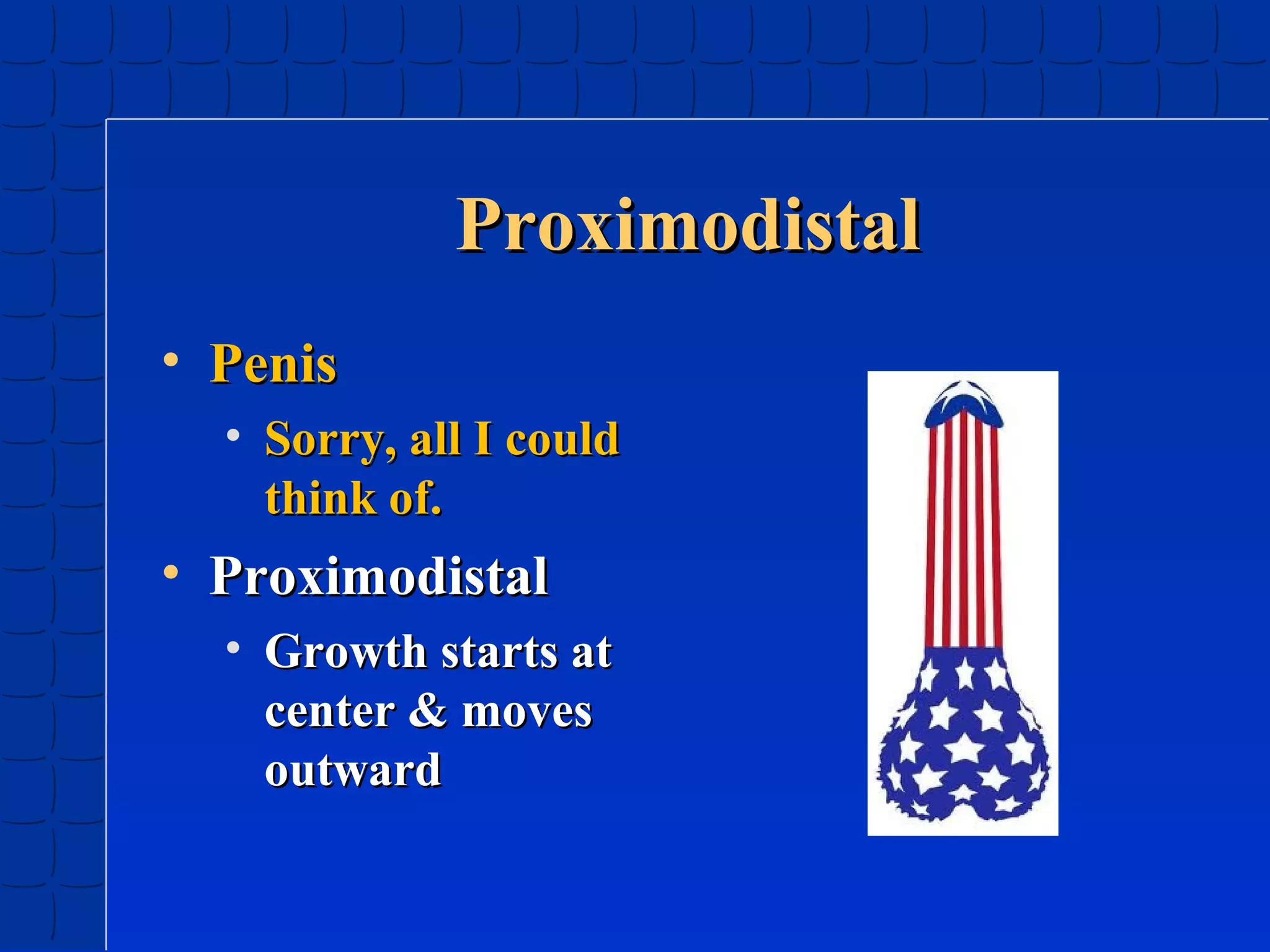 Proximodistal
• Penis
• Sorry, all I could
think of.

• Proximodistal
• Growth starts at
center & moves
outward

 