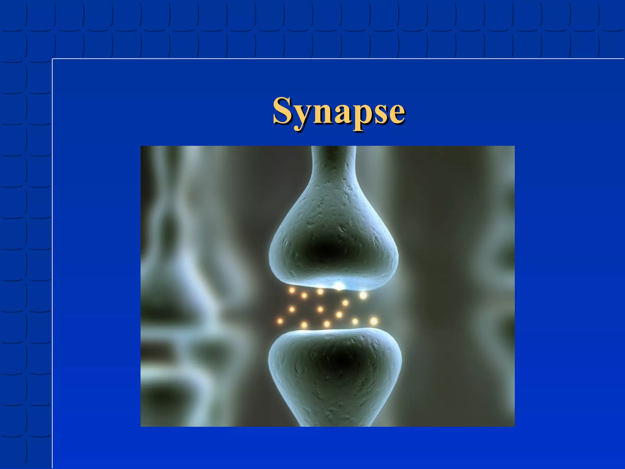 Synapse

 
