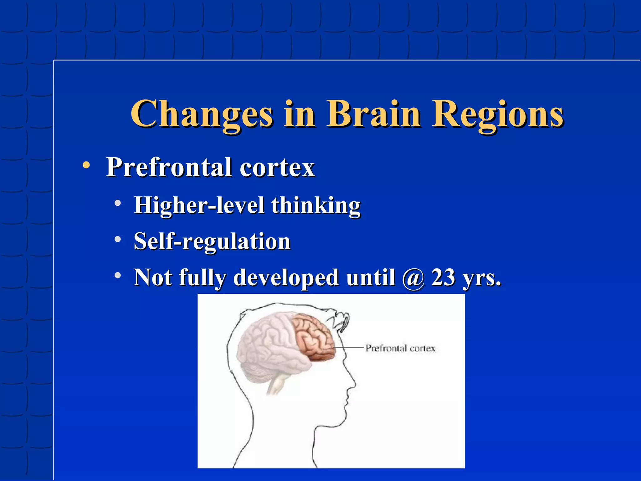 Changes in Brain Regions
• Prefrontal cortex
•
•
•

Higher-level thinking
Self-regulation
Not fully developed until @ 23 yrs.

 