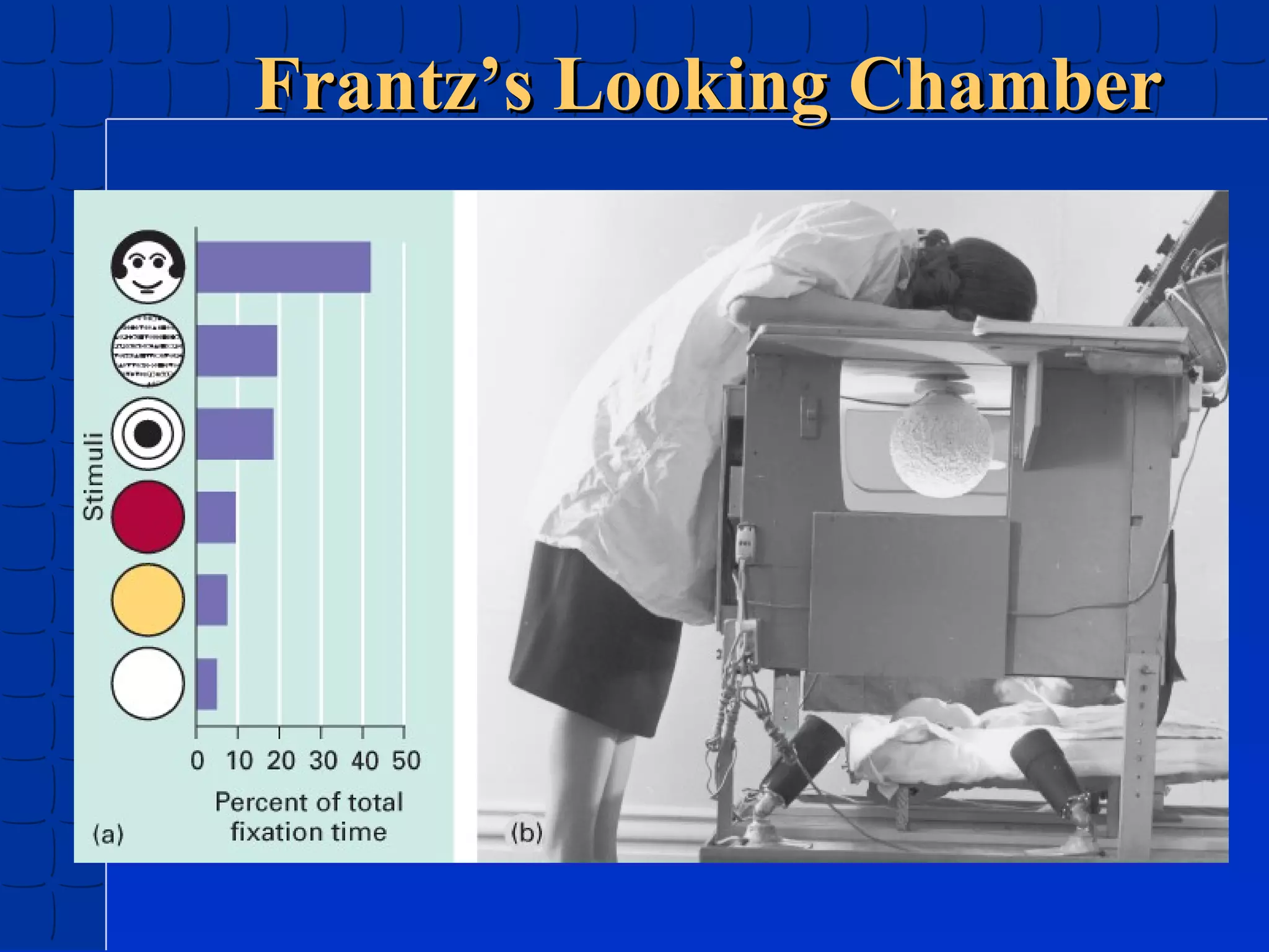Frantz’s Looking Chamber

 