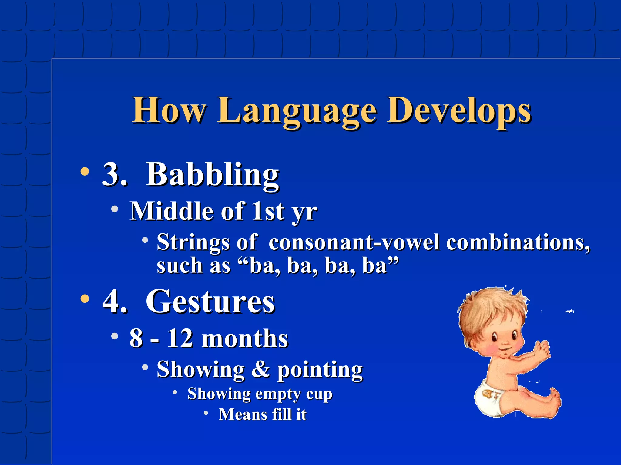 How Language Develops
• 3. Babbling

• Middle of 1st yr

• Strings of consonant-vowel combinations,
such as “ba, ba, ba, ba”

• 4. Gestures

• 8 - 12 months

• Showing & pointing
• Showing empty cup
• Means fill it

 