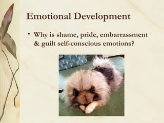 Emotional Development
• Why is shame, pride, embarrassment
& guilt self-conscious emotions?

2-5 Years-of-Age

 