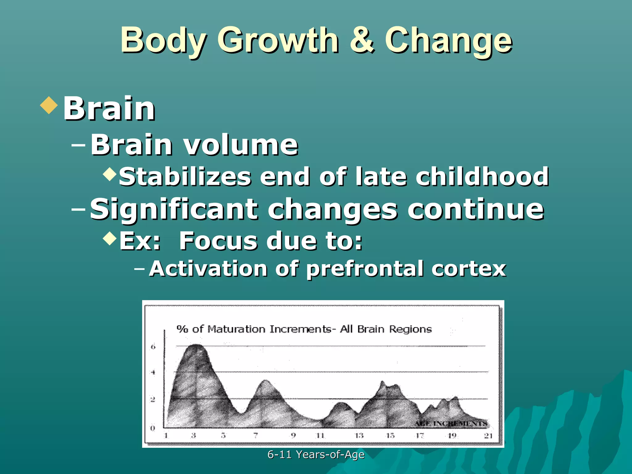 Body Growth & Change
 Brain

– Brain volume
Stabilizes

end of late childhood

– Significant changes continue
Ex:

Focus due to:

– Activation of prefrontal cortex

6-11 Years-of-Age

 