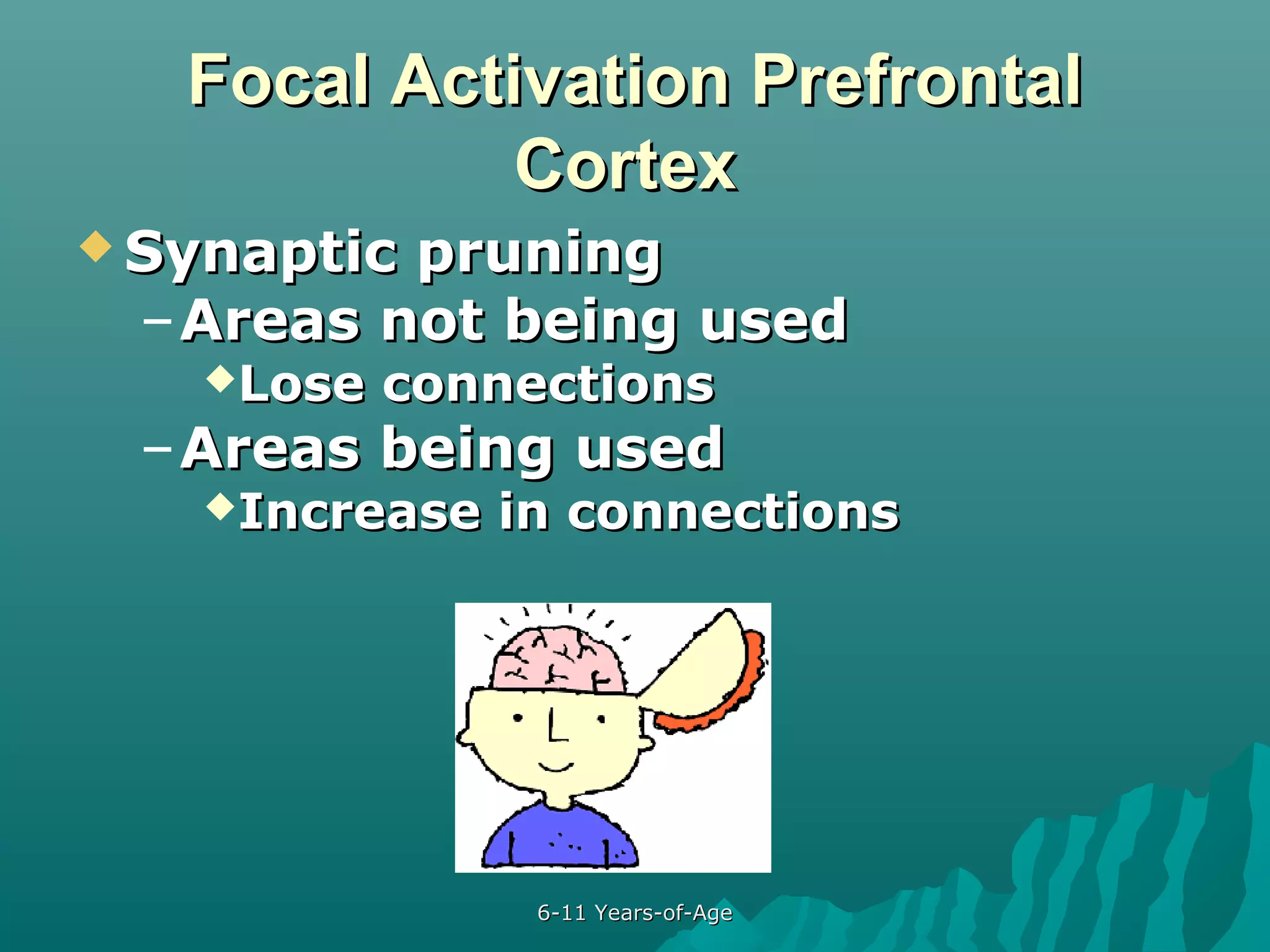Focal Activation Prefrontal
Cortex
 Synaptic

pruning
– Areas not being used
Lose

connections

– Areas being used
Increase

in connections

6-11 Years-of-Age

 