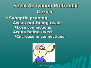 Focal Activation Prefrontal
Cortex
 Synaptic

pruning
– Areas not being used
Lose

connections

– Areas being used
Increase

in connections

6-11 Years-of-Age

 
