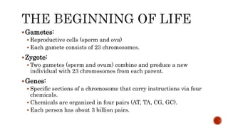 Gametes:
 Reproductive cells (sperm and ova)
 Each gamete consists of 23 chromosomes.
Zygote:
 Two gametes (sperm and ovum) combine and produce a new
individual with 23 chromosomes from each parent.
Genes:
 Specific sections of a chromosome that carry instructions via four
chemicals.
 Chemicals are organized in four pairs (AT, TA, CG, GC).
 Each person has about 3 billion pairs.
 