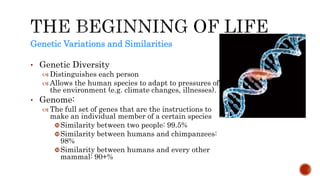 Genetic Variations and Similarities
• Genetic Diversity
 Distinguishes each person
 Allows the human species to adapt to pressures of
the environment (e.g. climate changes, illnesses).
• Genome:
 The full set of genes that are the instructions to
make an individual member of a certain species
Similarity between two people: 99.5%
Similarity between humans and chimpanzees:
98%
Similarity between humans and every other
mammal: 90+%
 