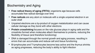 Biochemistry and Aging
• Free radical theory of aging (FRTA): organisms age because cells
accumulate free radical damage over time
• Free radicals are any atom or molecule with a single unpaired electron in an
outer shell
• Unpaired electrons are a by-product of oxygen metabolization and can cause
cellular damage as they bond with other electrons
• Protein crosslinking focuses on the role glucose plays in aging cells and the
crosslinks formed when molecules attach themselves to proteins, reducing the
flexibility of tissue (and therefore functioning)
• DNA is damaged through the normal growth and aging process, resulting in
errors that can accumulate and reduce cell and tissue functioning
• B-lymphocytes and T-lymphocytes become less active and the thymus shrinks
as aging progresses, reducing the body’s ability to fight infection
 
