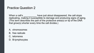 Practice Question 2
When a cell’s __________ have just about disappeared, the cell stops
replicating, making it susceptible to damage and producing signs of aging.
(This term describes the part of the protective area(s) or tip of the DNA
that grow(s) shorter every time the cell divides.)
A. chromosomes
B. free radicals
C. telomeres
D. B-lymphocytes
 