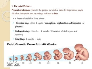 1. Pre-natal Period –
Prenatal development refers to the process in which a baby develops from a single
cell after conception into an embryo and later a fetus.
It is further classified in three phases
 Germinal stage : First 2 weeks “ conception , implantation and formation of
placenta”
 Embryonic stage: 2 weeks – 2 months ( Formation of vital organs and
Systems)
 Fetal Stage: 2 months – birth
 