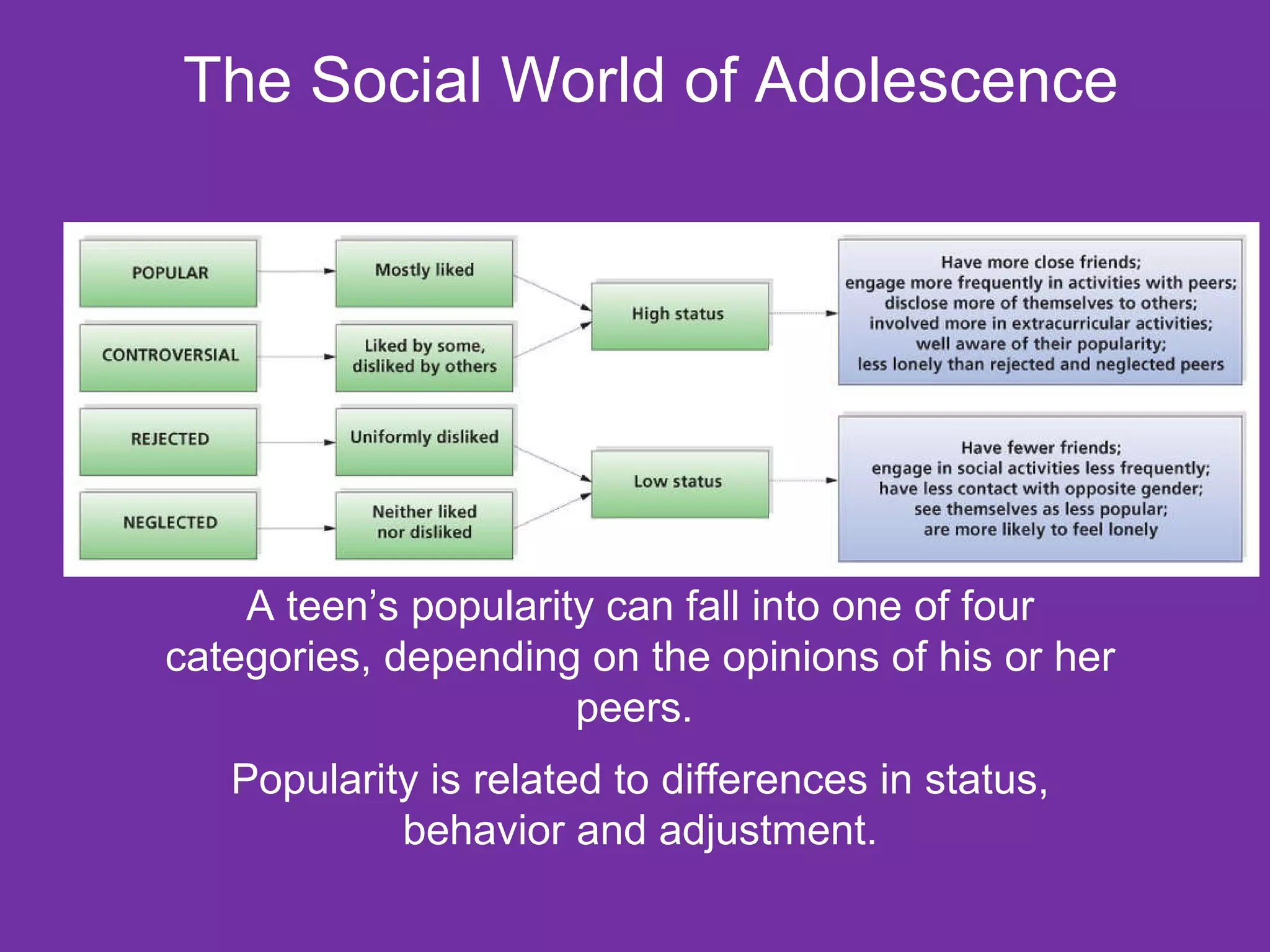 The Social World of Adolescence A teen’s popularity can fall into one of four categories, depending on the opinions of his or her peers.  Popularity is related to differences in status, behavior and adjustment. 