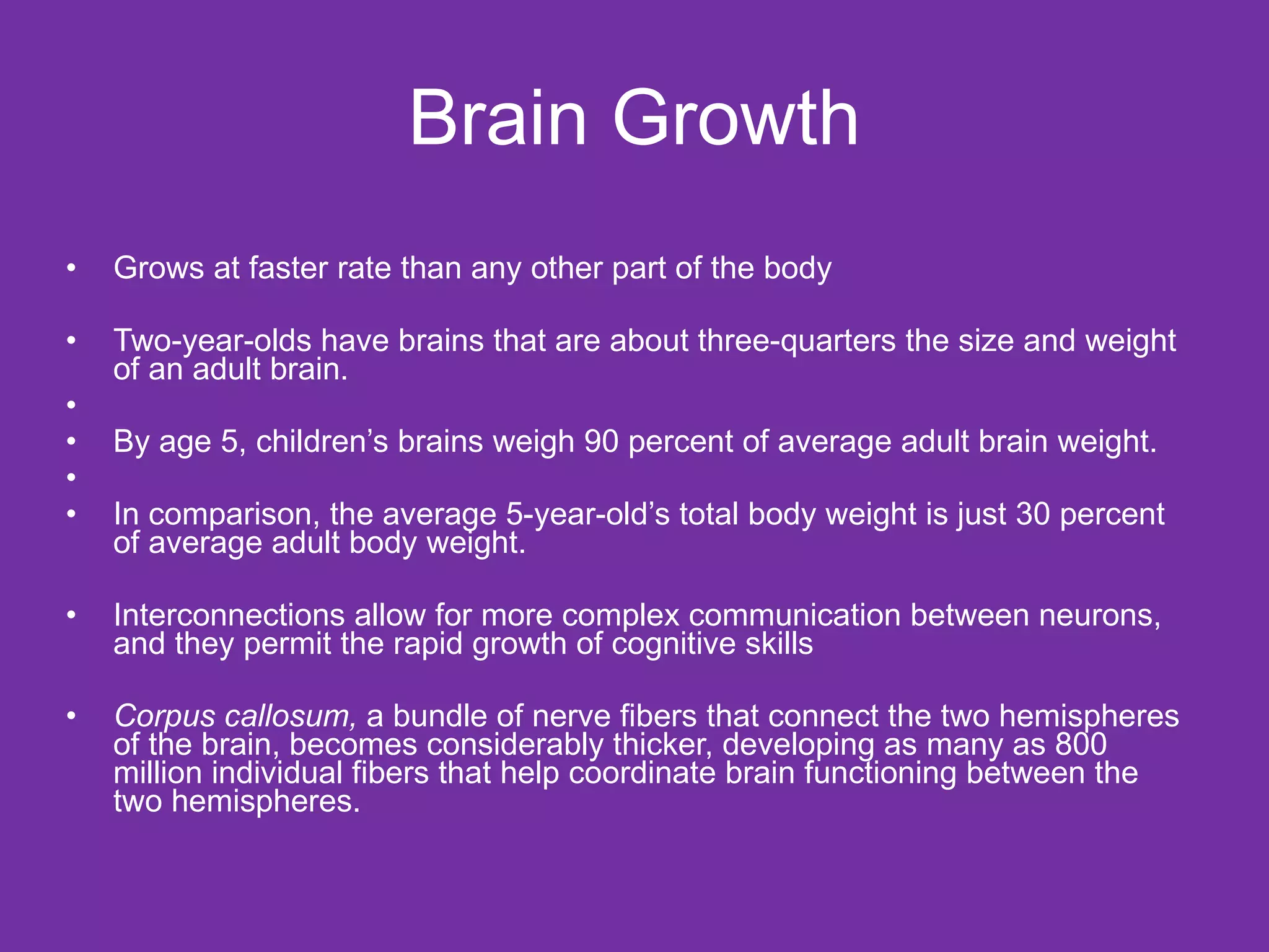 Brain Growth Grows at faster rate than any other part of the body Two-year-olds have brains that are about three-quarters the size and weight of an adult brain. By age 5, children’s brains weigh 90 percent of average adult brain weight. In comparison, the average 5-year-old’s total body weight is just 30 percent of average adult body weight. Interconnections allow for more complex communication between neurons, and they permit the rapid growth of cognitive skills  Corpus callosum,  a bundle of nerve fibers that connect the two hemispheres of the brain, becomes considerably thicker, developing as many as 800 million individual fibers that help coordinate brain functioning between the two hemispheres. 
