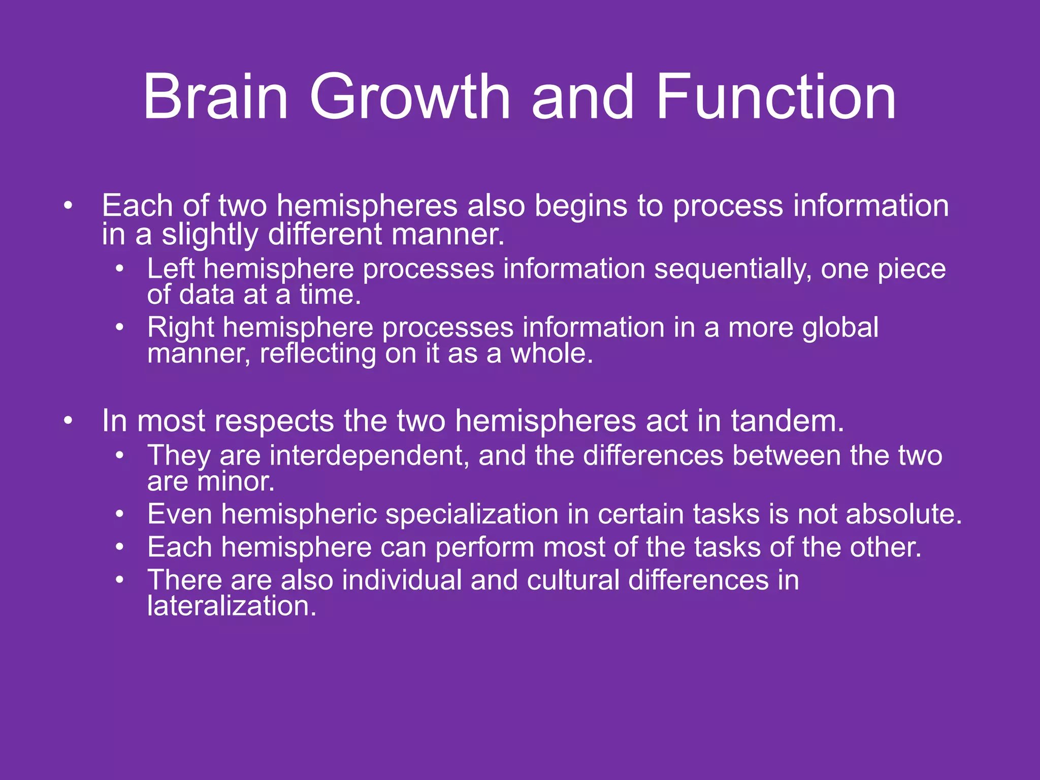 Brain Growth and Function Each of two hemispheres also begins to process information in a slightly different manner.  Left hemisphere processes information sequentially, one piece of data at a time.  Right hemisphere processes information in a more global manner, reflecting on it as a whole. In most respects the two hemispheres act in tandem.  They are interdependent, and the differences between the two are minor. Even hemispheric specialization in certain tasks is not absolute.  Each hemisphere can perform most of the tasks of the other.  There are also individual and cultural differences in lateralization. 