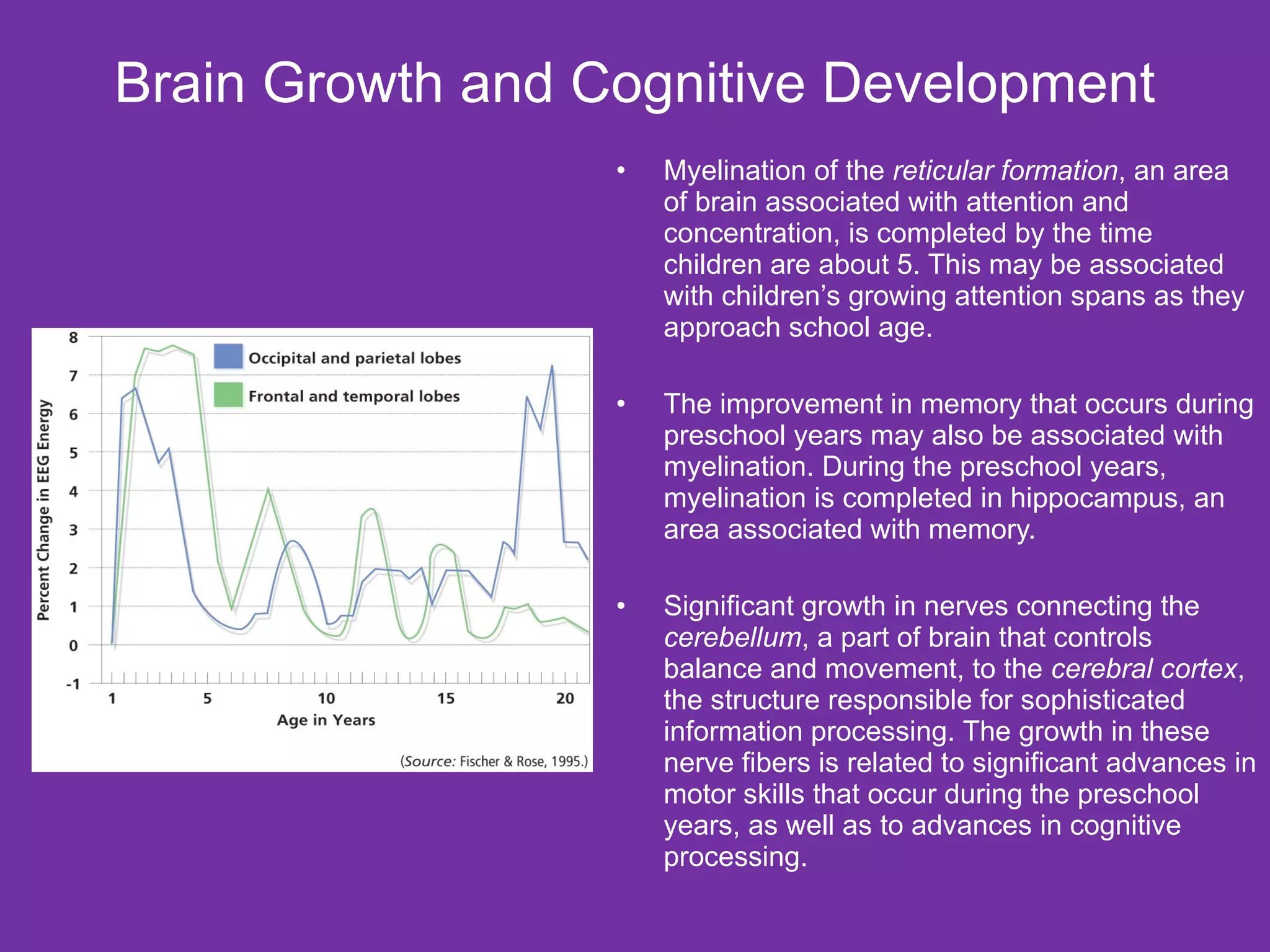 Brain Growth and Cognitive Development Myelination of the  reticular formation , an area of brain associated with attention and concentration, is completed by the time children are about 5. This may be associated with children’s growing attention spans as they approach school age.  The improvement in memory that occurs during preschool years may also be associated with myelination. During the preschool years, myelination is completed in hippocampus, an area associated with memory. Significant growth in nerves connecting the  cerebellum , a part of brain that controls balance and movement, to the  cerebral cortex , the structure responsible for sophisticated information processing. The growth in these nerve fibers is related to significant advances in motor skills that occur during the preschool years, as well as to advances in cognitive processing. 