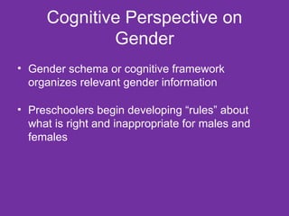 Cognitive Perspective on Gender Gender schema or cognitive framework organizes relevant gender information Preschoolers begin developing “rules” about what is right and inappropriate for males and females 
