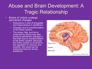 Abuse and Brain Development: A Tragic Relationship Brains of victims undergo permanent changes Reductions in size of amygdala and hippocampus in adulthood Changes due to overstimulation of the limbic system  The stress, fear, and terror produced by abuse may also produce permanent changes in the brain due to overstimulation of the limbic system. Because the limbic system is involved in the regulation of memory and emotion, the result can be antisocial behavior during adulthood. 