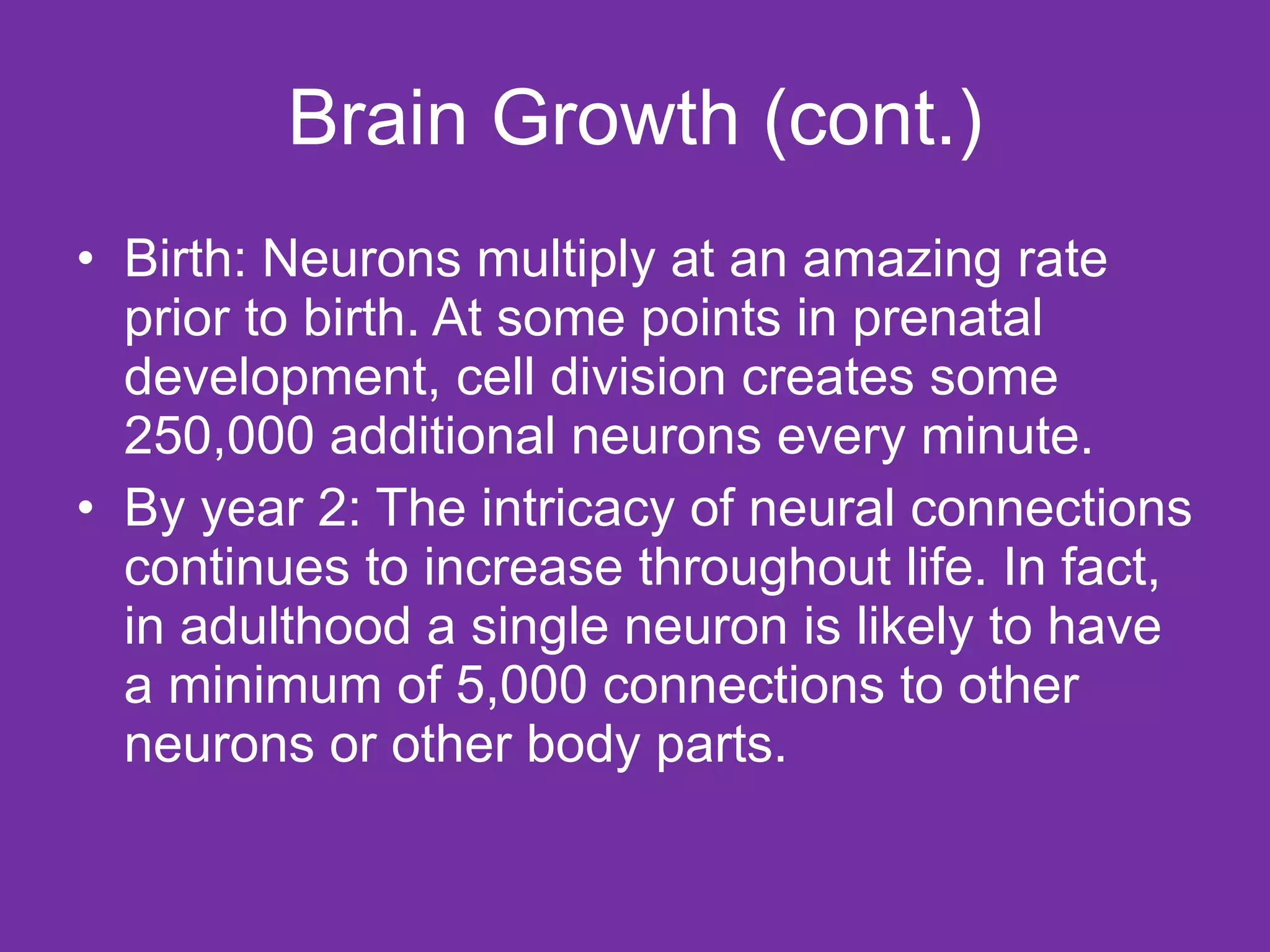 Brain Growth (cont.) Birth: Neurons multiply at an amazing rate prior to birth. At some points in prenatal development, cell division creates some 250,000 additional neurons every minute. By year 2: The intricacy of neural connections continues to increase throughout life. In fact, in adulthood a single neuron is likely to have a minimum of 5,000 connections to other neurons or other body parts. 