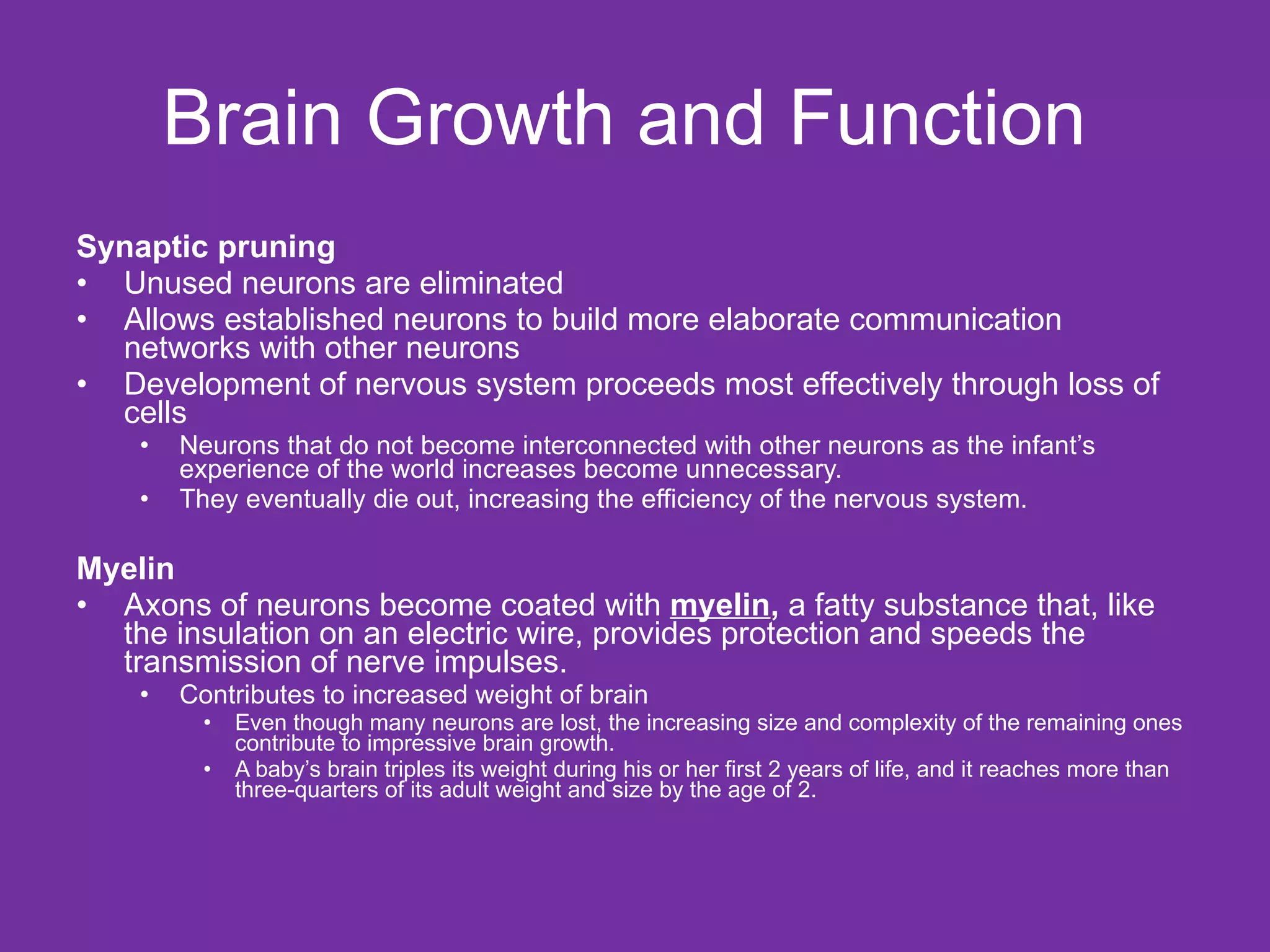 Brain Growth and Function  Synaptic pruning Unused neurons are eliminated Allows established neurons to build more elaborate communication networks with other neurons Development of nervous system proceeds most effectively through loss of cells Neurons that do not become interconnected with other neurons as the infant’s experience of the world increases become unnecessary.  They eventually die out, increasing the efficiency of the nervous system.  Myelin Axons of neurons become coated with  myelin ,  a fatty substance that, like the insulation on an electric wire, provides protection and speeds the transmission of nerve impulses. Contributes to increased weight of brain Even though many neurons are lost, the increasing size and complexity of the remaining ones contribute to impressive brain growth.  A baby’s brain triples its weight during his or her first 2 years of life, and it reaches more than three-quarters of its adult weight and size by the age of 2.  