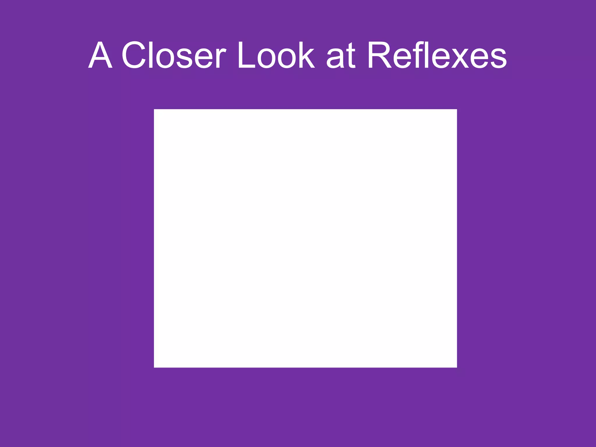 A Closer Look at Reflexes 