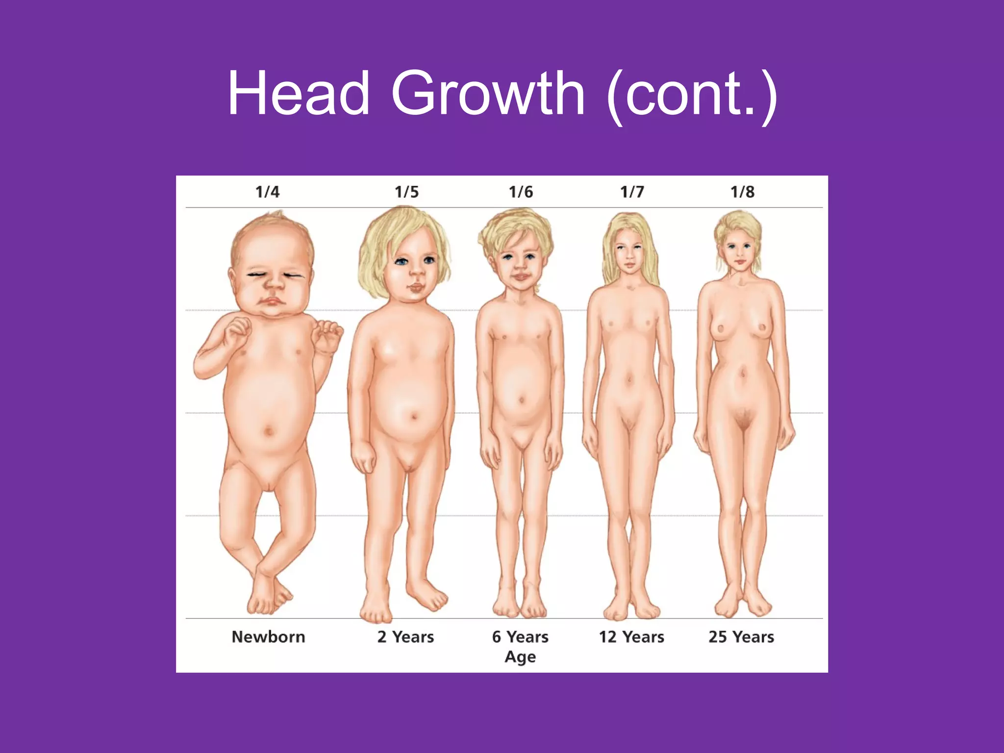 Head Growth (cont.) 