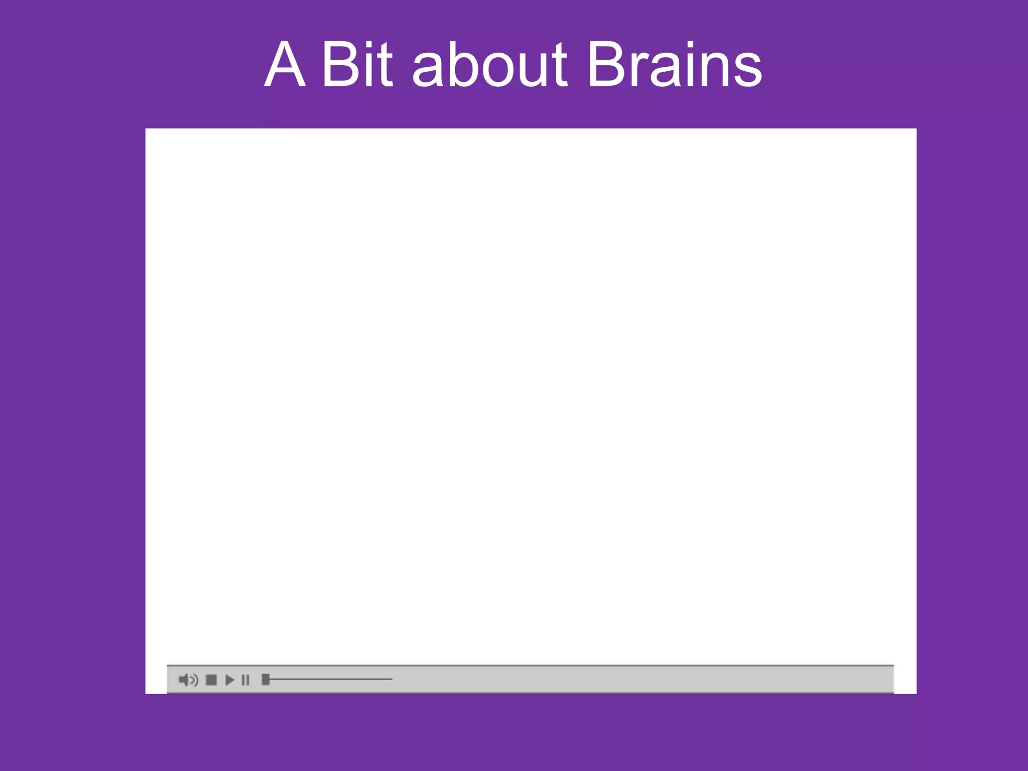 A Bit about Brains 