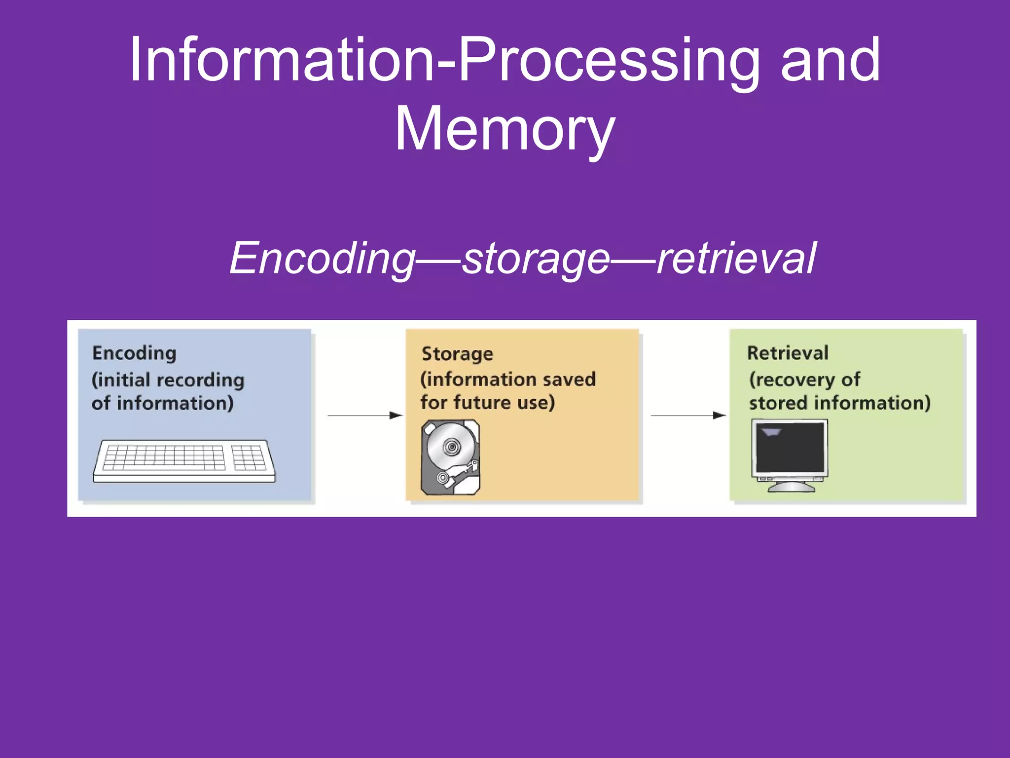 Information-Processing and Memory Encoding—storage—retrieval 