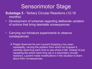 Sensorimotor Stage Substage 5  - Tertiary Circular Reactions (12-18 months) Development of schemes regarding deliberate variation of actions that bring desirable consequences Carrying out miniature experiments to observe consequences Piaget observed his son Laurent dropping a toy swan repeatedly, varying the position from which he dropped it, carefully observing each time to see where it fell. Instead of just repeating the action each time (as in a secondary circular reaction), Laurent made modifications in the situation to learn about their consequences.  