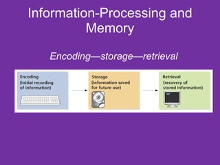 Information-Processing and Memory Encoding—storage—retrieval 