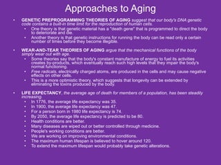 Approaches to Aging GENETIC PREPROGRAMMING THEORIES OF AGING   suggest that our body's DNA genetic code contains a built-in time limit for the reproduction of human cells. One theory is that genetic material has a "death gene" that is programmed to direct the body to deteriorate and die. Another theory is that genetic instructions for running the body can be read only a certain number of times before they become illegible. WEAR-AND-TEAR THEORIES OF AGING   argue that the mechanical functions of the body simply wear out with age. Some theories say that the body's constant manufacture of energy to fuel its activities creates by-products, which eventually reach such high levels that they impair the body's normal functioning. Free radicals , electrically charged atoms, are produced in the cells and may cause negative effects on other cells. This is a more optimistic theory, which suggests that longevity can be extended by eliminating the toxins produced by the body. LIFE EXPECTANCY ,  the average age of death for members of a population, has been steadily increasing. In 1776, the average life expectancy was 35. In 1900, the average life expectancy was 47. For a person born in 1980 life expectancy is 74. By 2050, the average life expectancy is predicted to be 80. Health conditions are better. Many diseases are wiped out or better controlled through medicine. People's working conditions are better. We are working on improving environmental conditions. The maximum human lifespan is believed to hover around 120. To extend the maximum lifespan would probably take genetic alterations. 