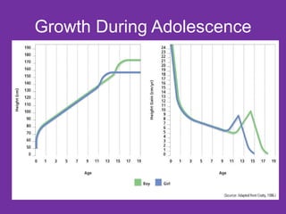 Growth During Adolescence 