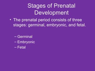 Stages of Prenatal Development The prenatal period consists of three stages: germinal, embryonic, and fetal. Germinal Embryonic Fetal 