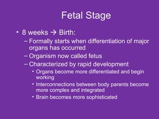 Fetal Stage 8 weeks    Birth: Formally starts when differentiation of major organs has occurred  Organism now called fetus Characterized by rapid development Organs become more differentiated and begin working Interconnections between body parents become more complex and integrated Brain becomes more sophisticated 