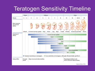 Teratogen Sensitivity Timeline 