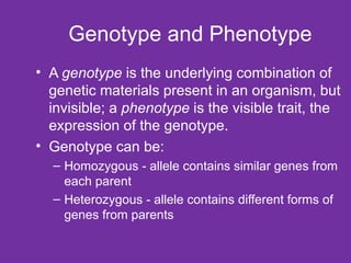 Genotype and Phenotype A  genotype  is the underlying combination of genetic materials present in an organism, but invisible; a  phenotype  is the visible trait, the expression of the genotype. Genotype can be: Homozygous - allele contains similar genes from each parent Heterozygous - allele contains different forms of genes from parents 