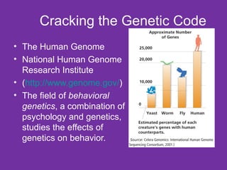 Cracking the Genetic Code The Human Genome National Human Genome Research Institute  ( http://www.genome.gov/ ) The field of  behavioral genetics , a combination of psychology and genetics, studies the effects of genetics on behavior. 