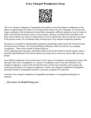 Ivory Charged Woodpecker Essay
The ivory charged woodpecker (Campephilus principalis) is one of the biggest woodpeckers on the
planet, at approximately 20 inches (51 cm) long and 30 inches (76 cm) in wingspan. It is local to the
virgin woodlands of the Southeastern Joined States (alongside a different subspecies local to Cuba). In
light of environment decimation and, to a lesser degree, chasing, its numbers have dwindled to the
point where whether any remain is indeterminate, however reports have shown it has been seen again
in the present century. No woodlands today can keep up an ivory charged woodpecker populace.
The species is recorded as fundamentally jeopardized and perhaps wiped out by the Universal Union
for Preservation of Nature. The American Birding Affiliation (ABA) records the ivory charged
woodpecker ... Show more content on Helpwriting.net ...
Arrive obtaining and living space rebuilding endeavors have been started in specific regions where a
generally high likelihood exists that the species may make due to ensure any conceivable surviving
people.
Ivory Billed woodpecker is the normal name of a few types of woodpecker recognized by having a bill
that takes after ivory: Campephilus is a variety of woodpecker some of the time called the ivory
charged woodpecker, in spite of the fact that the term is all the more normally used to portray the
American and Cuban ivory charged woodpeckers. Cuban ivory charged woodpecker (Campephilus
principalis bairdii or Campephilus bairdii), is presently accepted to be wiped out.
American ivory charged woodpecker (Campephilus principalis or Campephilus principalis), is
depicted
... Get more on HelpWriting.net ...
 